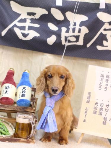 20240616しろくん